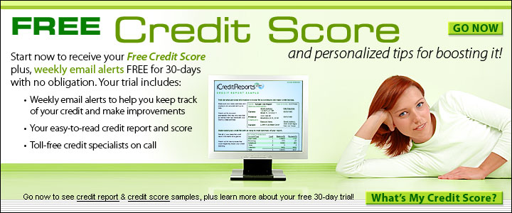 Commercial Credit Report